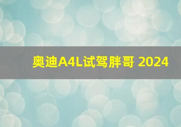 奥迪A4L试驾胖哥 2024